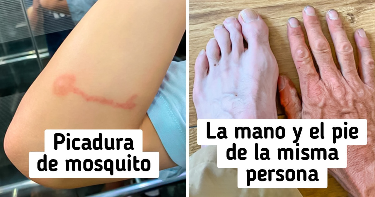 10+ Personas que encontraron la forma de destacarse entre la multitud genial.guru/admiracion-cur…