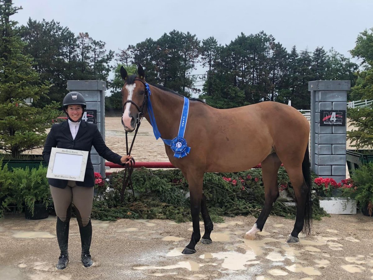 The Perfecta Farm Show Celebrates Another Year of Success - mailchi.mp/m4eq/gear-up-f…