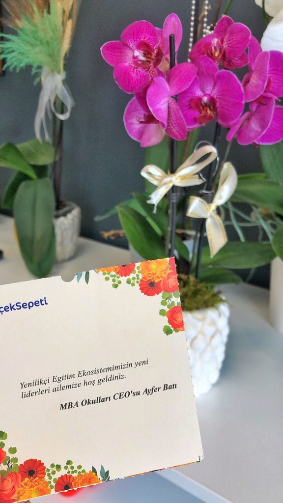 Aynı çatı altında, eğitime yenilik arayışı içinde olmaktan büyük mutluluk duyduğum MBA Okulları Genel Müdürü Değerli Ayfer hocama ince düşüncesi için çok teşekkür ediyorum 🙏🏼💐✨ <a href="/ayfer_bati/">Ayfer BATI</a> 
#YenilikçiEğitimEkosistemi
#MBASchools 
<a href="/mbaokullari/">MBA Okulları</a> 🧡