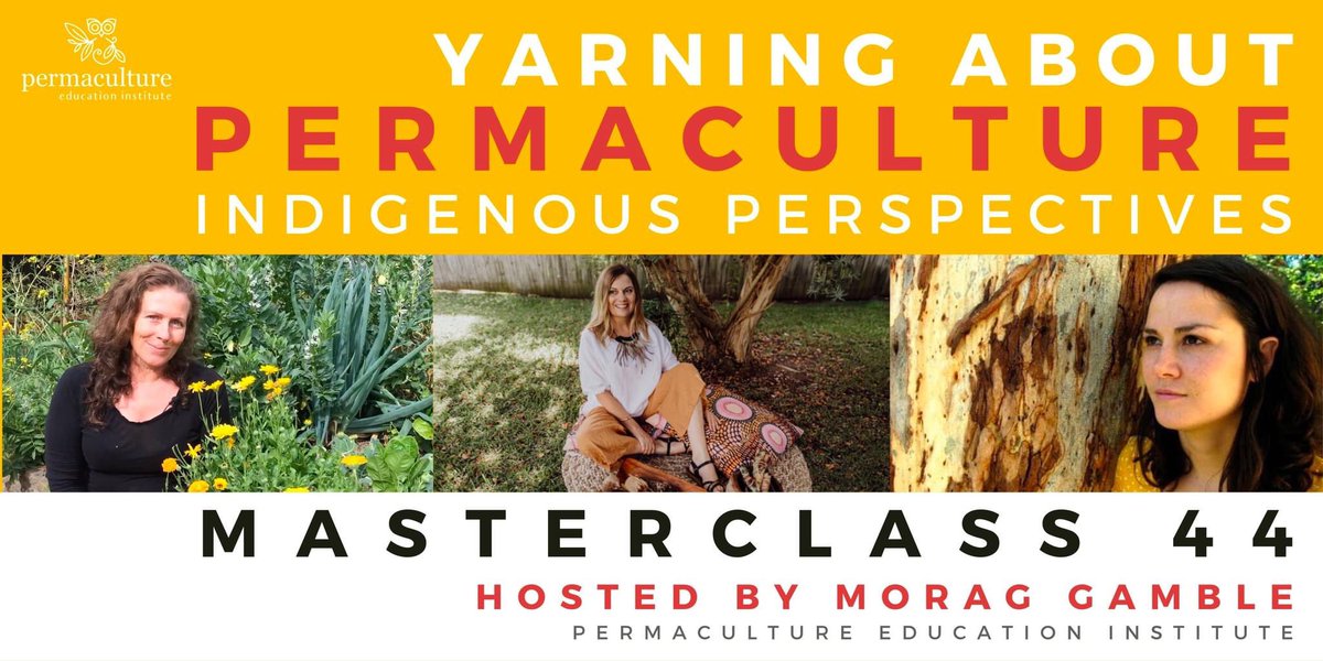 DominiqueAChen's tweet photo. Catchups with the wonderful Morag Gamble @permacultureeducationinstitute and my two deadly maliyaa Tracy Hardy @wattleseednutrition and Jacob Birch @birch_jacob coming up at the end of the month 🖤💚
Register for the session here:
https://t.co/QUjLkbFcMo https://t.co/quqPA144Sw