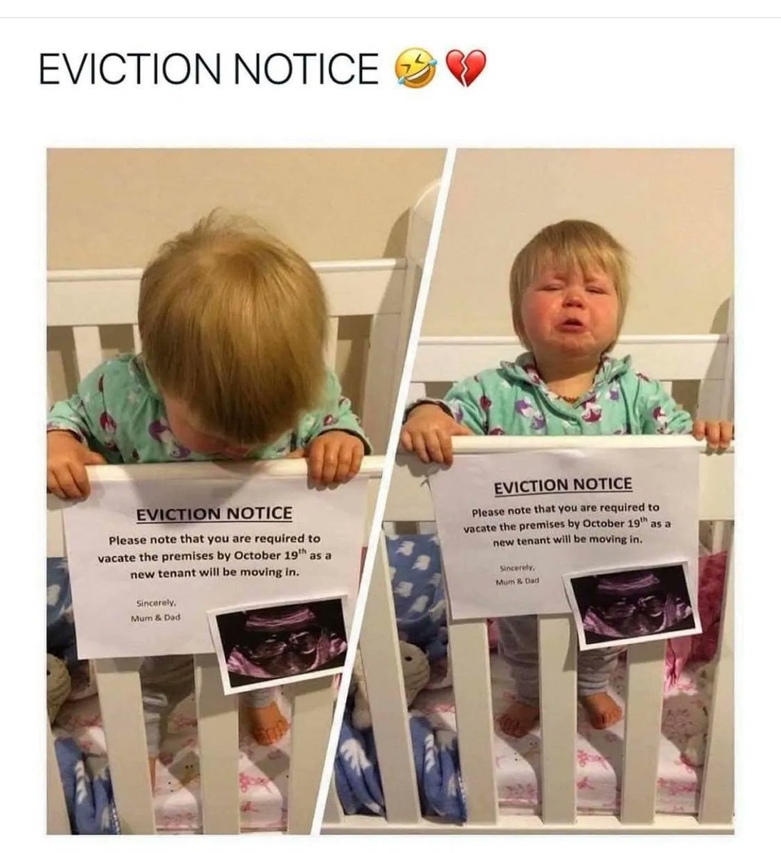 GratisFreebieUK's tweet photo. Aww,  poor guy isn't happy! 😂 https://t.co/eyPyC0czJ8