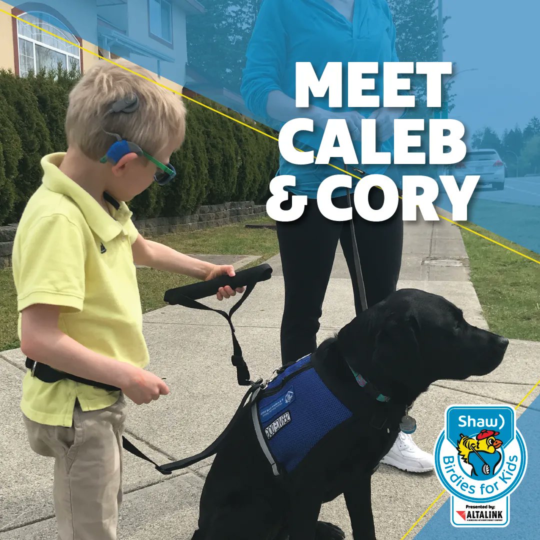 bcguidedogs's tweet photo. #AutismServiceDogs like Cory provide increased safety and support for a child with autism and their family. This summer @Shawinfo #BirdiesforKids presented by @AltaLink will match donations to #AlbertaGuideDogs up to 50%. Donate online at: https://t.co/j1NTWSHHK2 https://t.co/DKKHqqhvCd