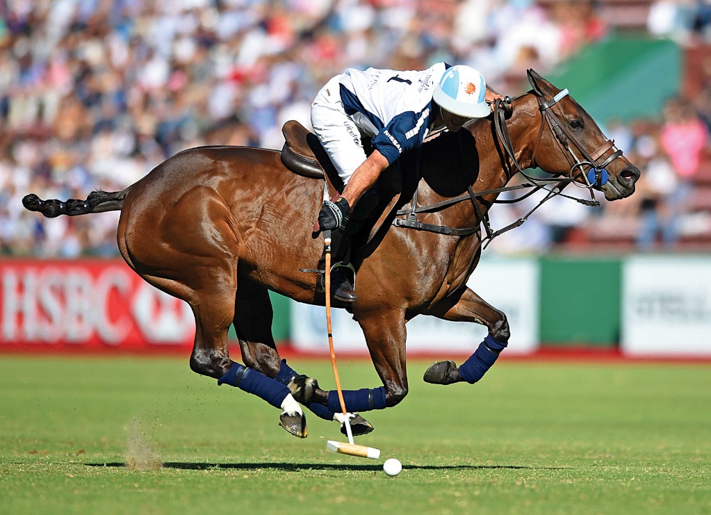 gaboreba86's tweet photo. ¿Existe algún deportista de élite que haya sido clonado? En el caso del argentino Adolfo Cambiaso, considerado el mejor jugador de polo a nivel mundial, la clonación marcó un antes y un después. Pero, ¿hay forma de diseñar un Messi en el laboratorio? Abro hilo. https://t.co/W6fM4tSmks