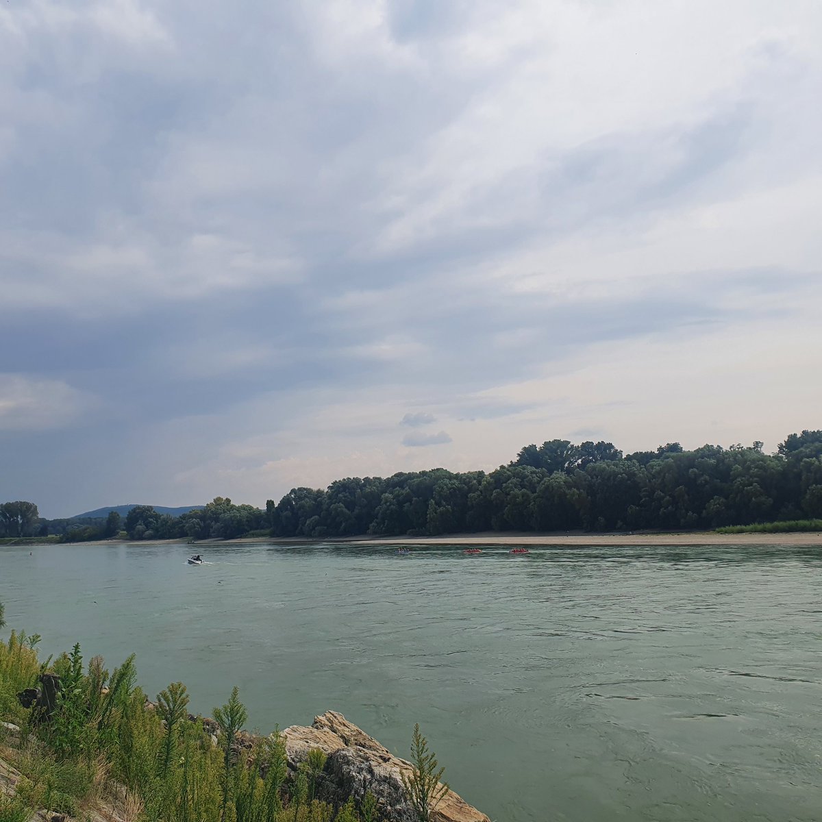 MarcelaM11's tweet photo. The Morava River, the border between #Austria and #Slovakia. It empties into the Danube at #DevinCastle, just west of #Bratislava 🇦🇹🇸🇰🇪🇺.

The Gate of Freedom Memorial is commemorating the victims who tried to escape from the #IronCurtain to 🇪🇺 until 1989. #NoWalls #BerlinWall https://t.co/KdyFaoTzan