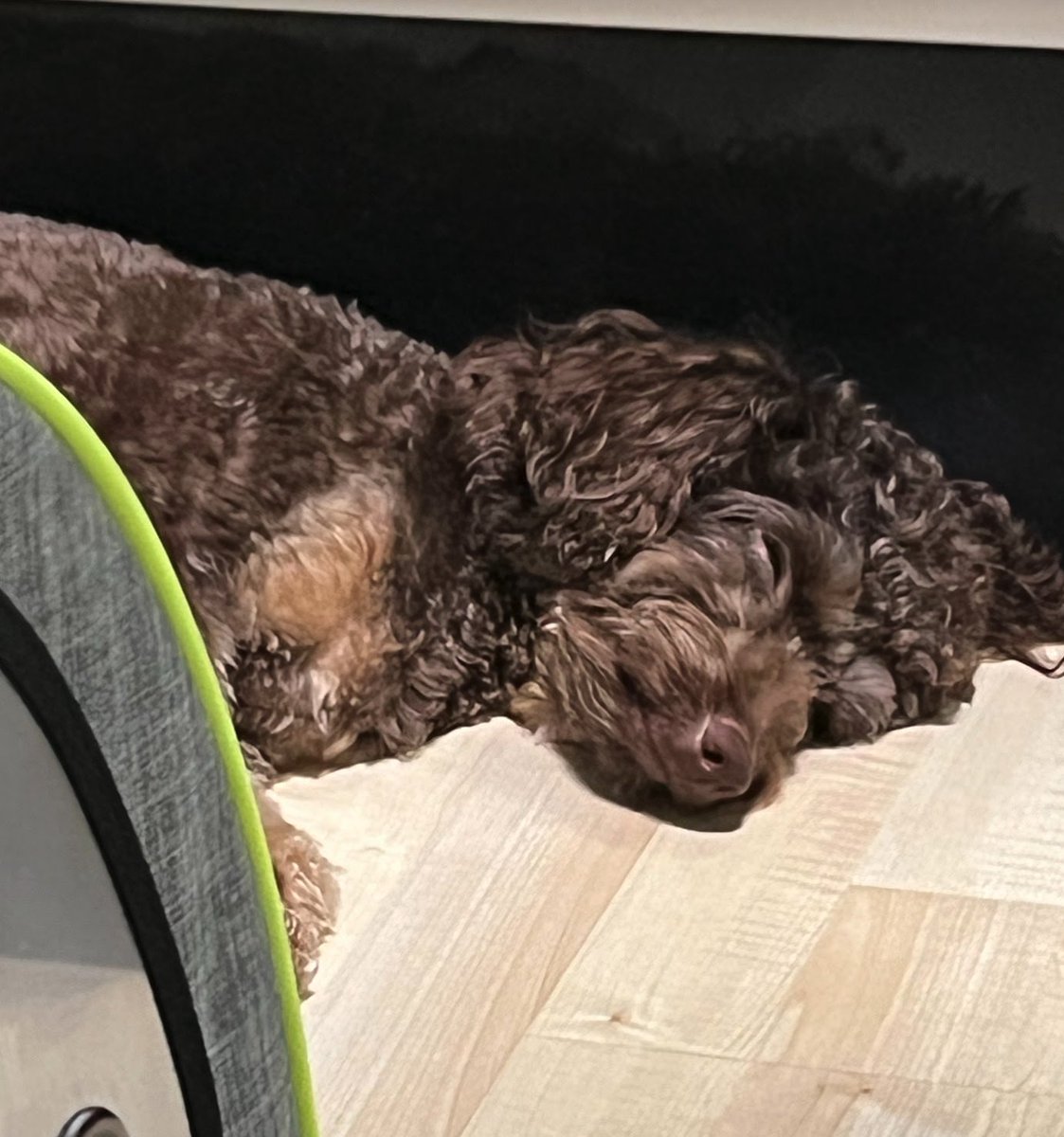 1Leetcode's tweet image. 300. Longest Increasing Subsequence

leetcode.com/problems/longe…

うーんダイナミクプログラミング慣れがひつよう
#leetcode #プログラミング勉強中