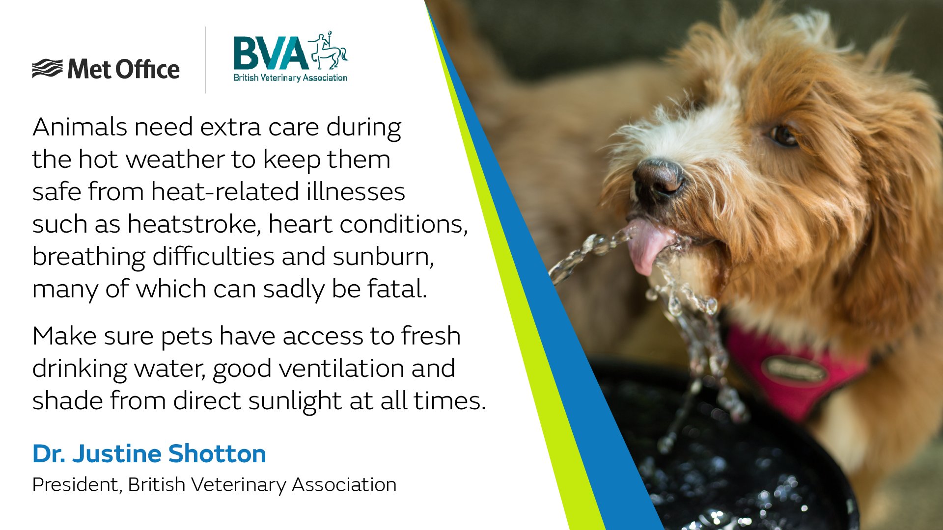 BritishVets on Twitter: BritishVets on Twitter: