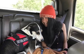 EPCSheriff's tweet photo. Have you seen Lillian Enyeart? She's 15, last seen in 3400 block of E. La Salle St. @ 9pm on Aug. 12.  She was wearing light colored hoodie/blue jeans, grey backpack, and is on crutches.  She has a black/white emotional support dog.  Call 719-390-5555 immediately if you see her. https://t.co/hru6hIpSft