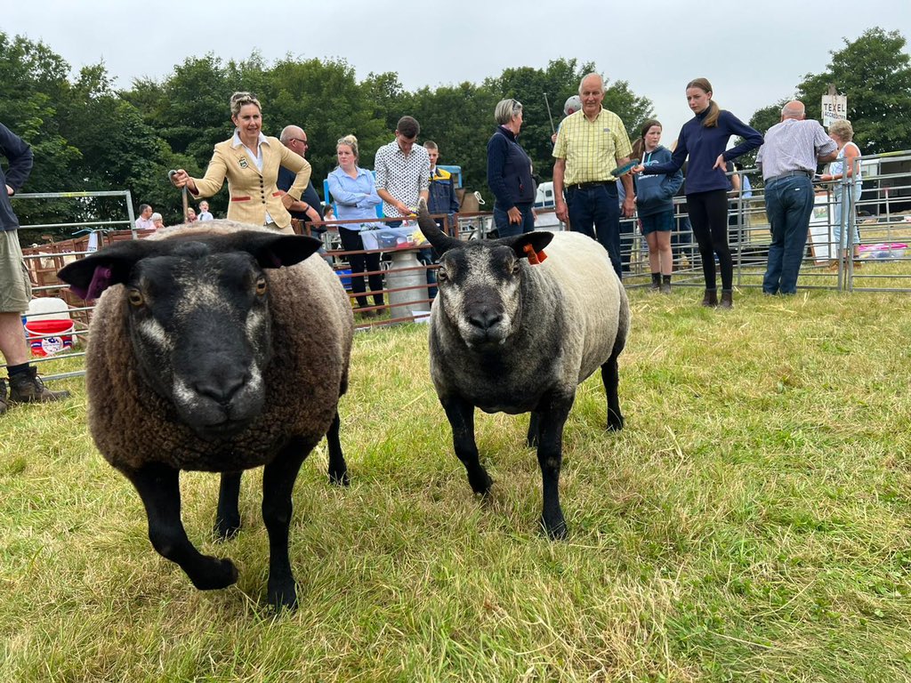 Kinross Show tweet media