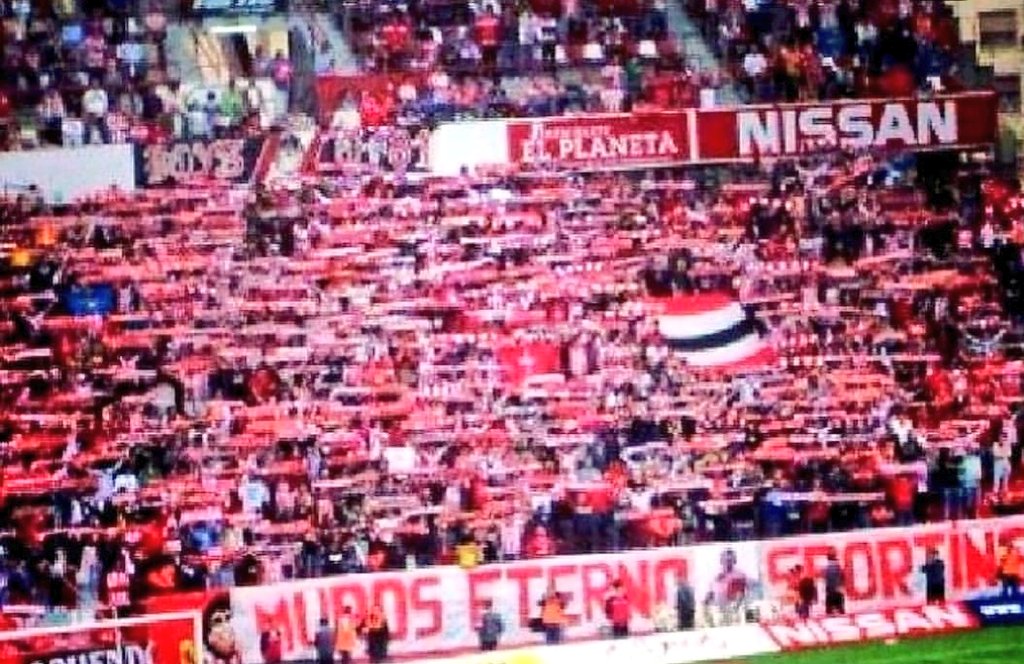 ULTRASGIJON's tweet photo. Como cada año desde hace ya 12, te recordamos...y hoy vuelves a viajar con nosotros, como siempre, como tanto te gustaba.🔴⚪⚔

Solo muere quién cae en el olvido.
MUROS ETERNO SPORTINGUISTA. https://t.co/nyITEcGZhd