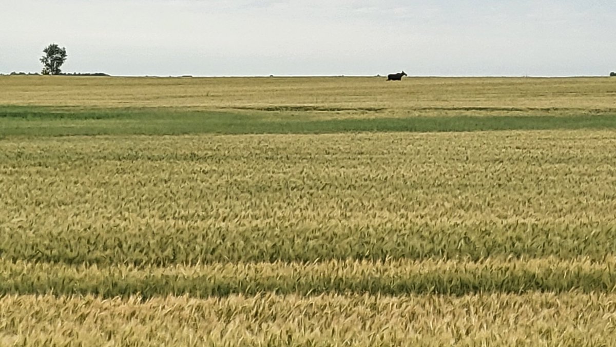 David A. Kaminski tweet media