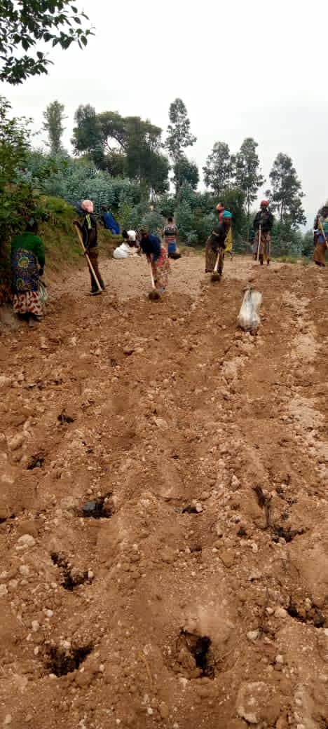 JustinNsengima's tweet photo. Mfashe uyumwanya ngo nshyimire Team @Kagame2024 k'uba barategereje Abo amateka agaragaza ko basigajwe inyuma n'amateka bakabashakira aho guhinga bakabaha n'imbuto mu rwego rwo kubinjiza mubuhinzi ibintu bitari bimenyerewe i #Muhandasector @gatjmv @HabitegekoFran1 @KabarebeJames https://t.co/VoAxP0ebq3