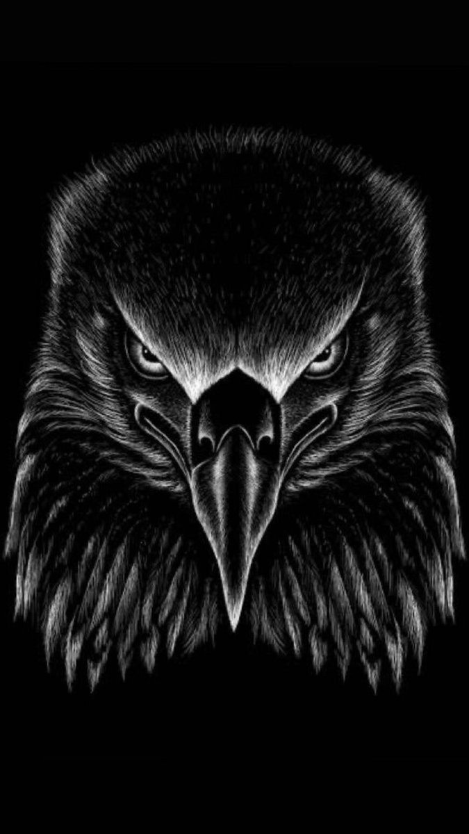 bjkbouncers's tweet photo. Beşiktaşımız için yollarda olacak bütün cefakar taraftarlarımıza kazasız belasız bir yol temenni ediyoruz. 

 Gittiği her mekanın sahibi olan
 Şanlı Beşiktaş Tribünü yaşasın 🦅 

#BjkBouncers #BjkSupporters #AwayDays https://t.co/bgFMHve2ie