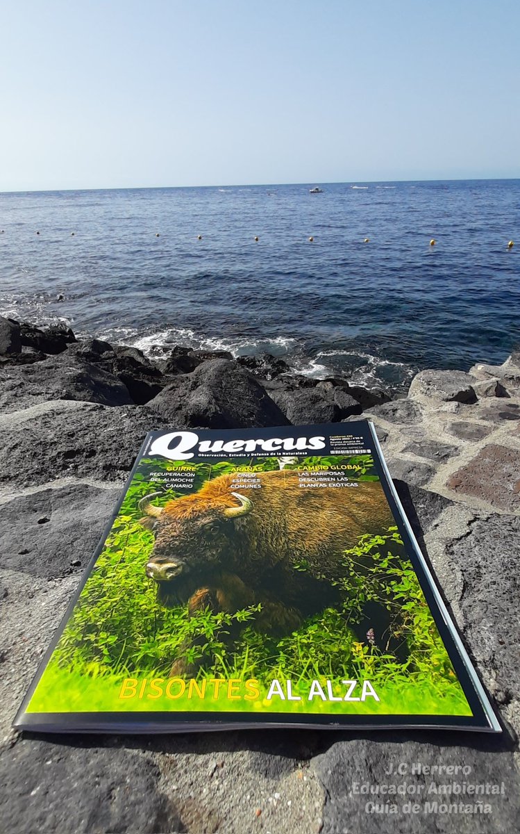 Insurrecto76's tweet photo. De los pocos sábados que puedo disfrutar de una mañana libre y que mejor que disfrutarlo con @RevistaQuercus y el bendito mar 🌊 https://t.co/FPjE09uArE