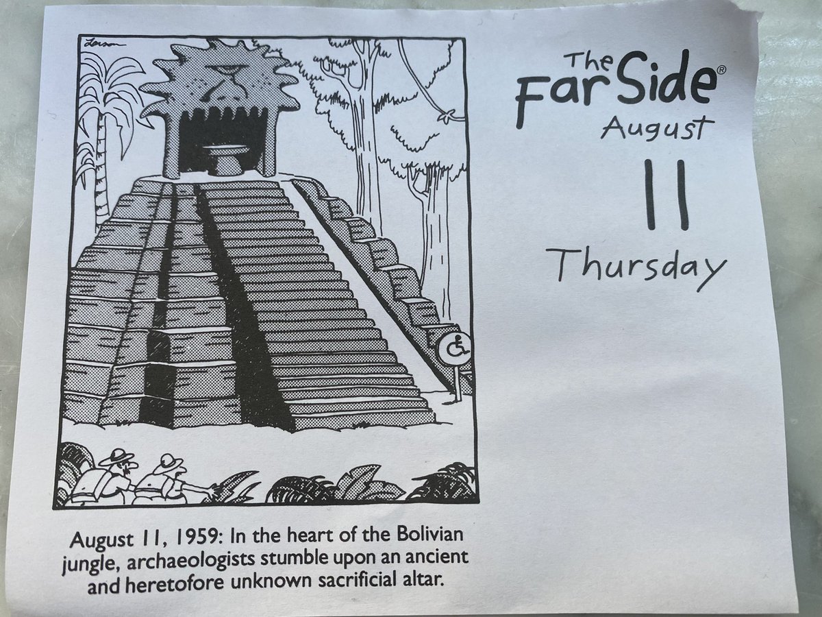 11.August - internationaler Rollschienen-Tag. Aber das wusstest du natürlich.