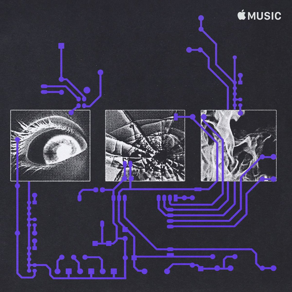 The Discography Lessons tweet media