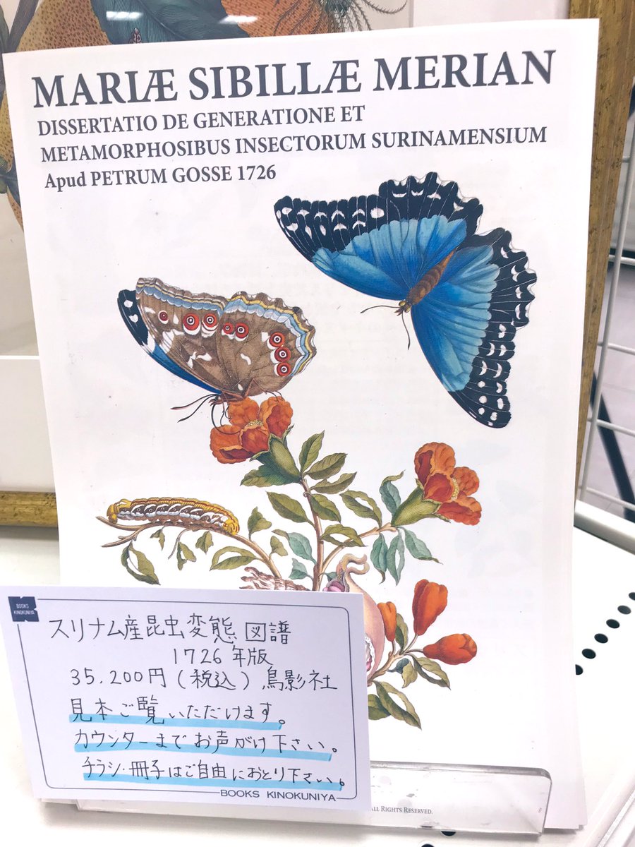 8階理学】8階カウンター前特設コーナーにてご紹介中の、新刊『スリナム