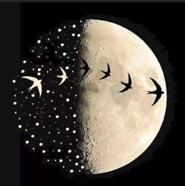 “Unutma, 
aydınlık bir yarın için, 

karanlık bir gecenin içinden geçmen gerekir...”

Paulo Coelho