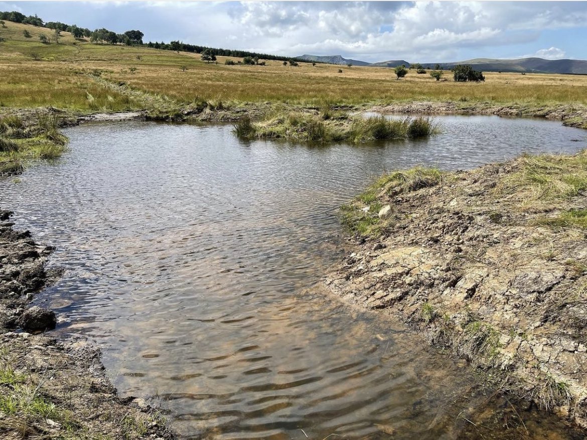 herdyshepherd1's tweet photo. Jeez…popped back on Twitter to see how the environment/farming/food debate was going…and everyone has gone mental in all directions 

It’s a total and utter waste of time 

Turn it off and do something real  

Here’s a little wetland created with @UllswaterCic on land we manage https://t.co/18NtJNjuLF