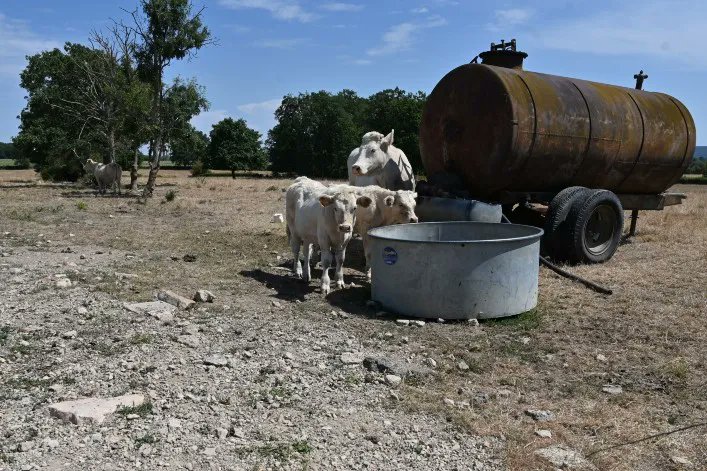CoeurPaysans's tweet photo. La France vit actuellement une sécheresse historique, qui risque de devenir habituelle dans les décennies qui viennent. Quelques articles sur la situation en France et en Europe pour les agriculteurs 👇 
https://t.co/J6VmikpddV 
https://t.co/bAeoR4vcMW 
https://t.co/mGuBGDKxvl https://t.co/jw52cjtzD9
