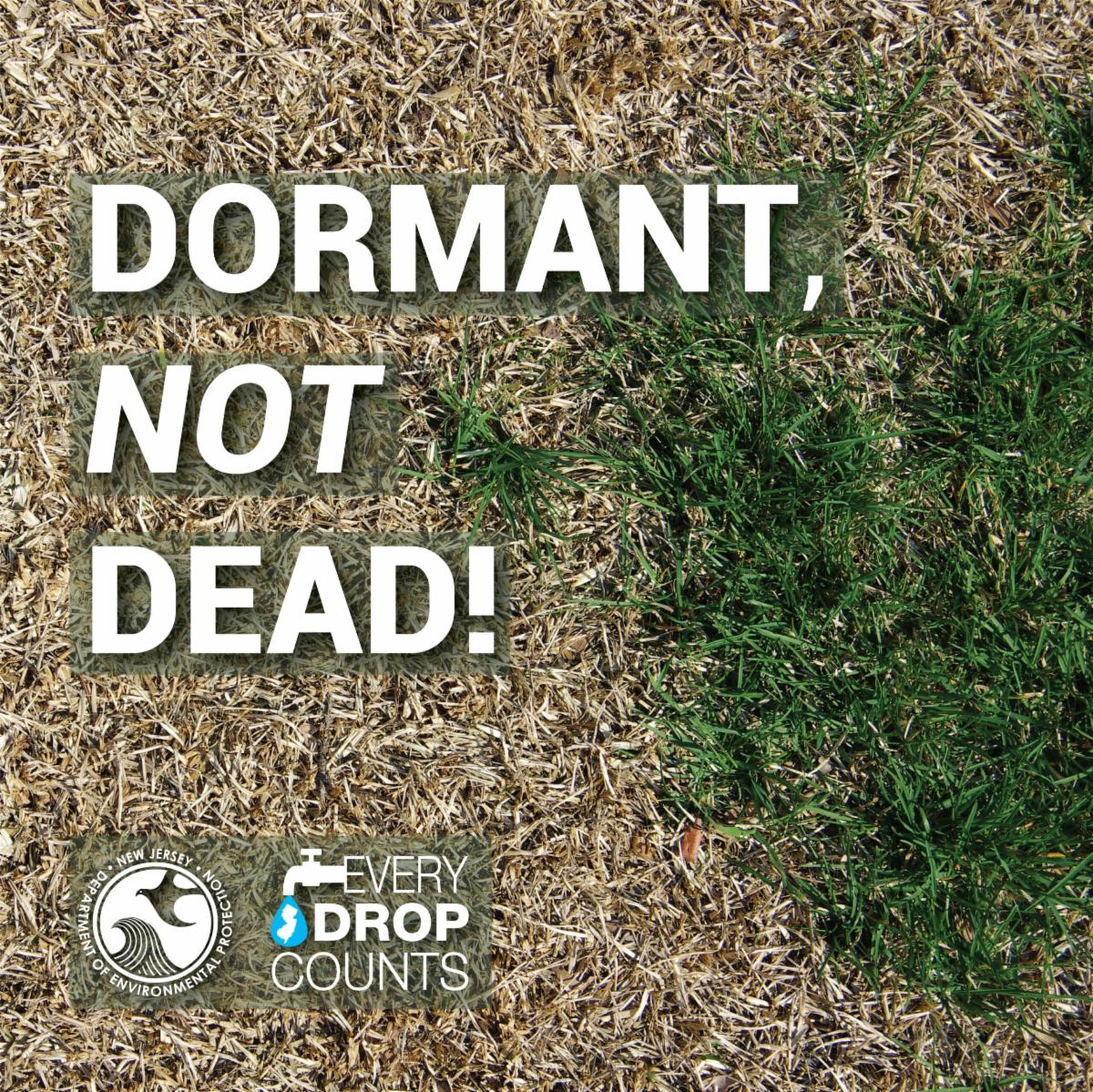 OCSCD's tweet photo. 💤Let your lawn go to sleep 
️Enjoy the extra time not mowing and go to the beach! 
You can do your part to help New Jersey conserve water during these dry months. Check out https://t.co/PDsv9h827O for lawn watering tips. #WaterConservation @BBPartnership https://t.co/CV93nBCEVD