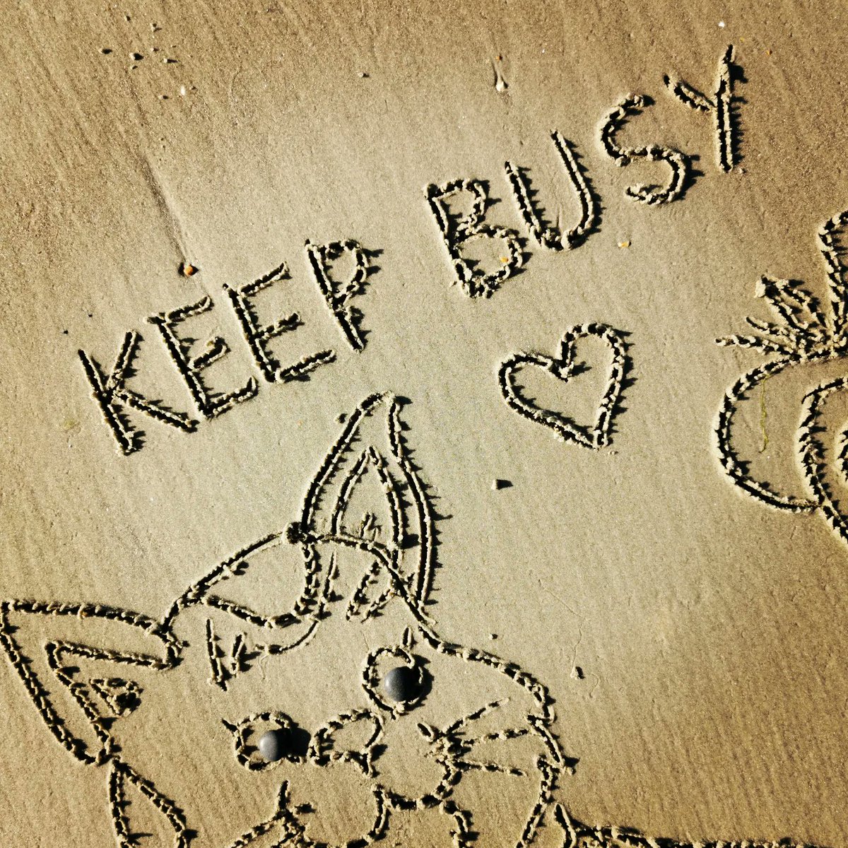 DigiDaughter's tweet photo. Keep Busy π #HuckleCat #LowlyWorm #cat #worm #RichardScarry #BusyTown #CINARanimation @paramountnet @nickelodeon
π #Covid2022 #Lockdown2021 #morale #VitaminSea πππ #DuneToons #Lockdown2020 #comics #cartoons βοΈ #SandBanksy #shorelinesally Character No.1644-5 https://t.co/hylyxIvFdM