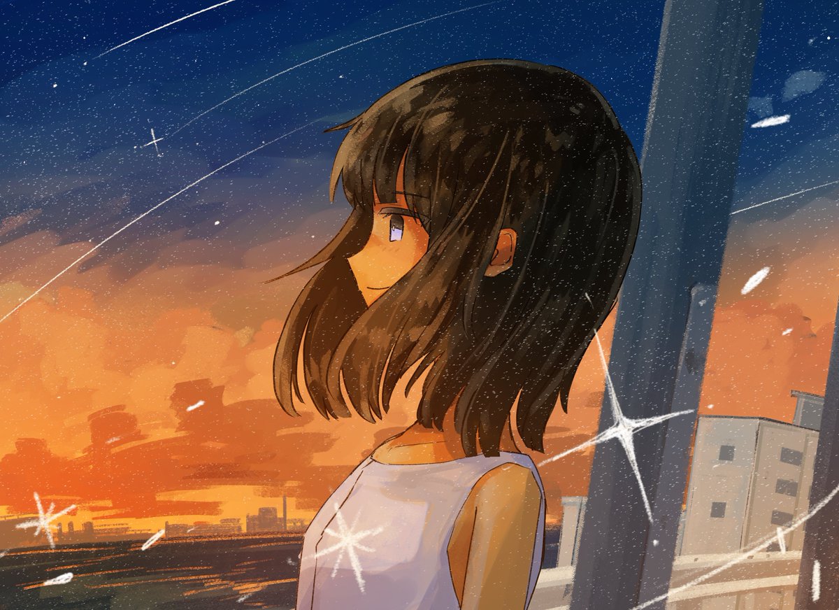 1girl solo sky star (sky) medium hair upper body sunset  illustration images