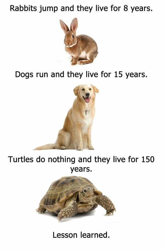 COLLEENGROTTMOM's tweet photo. Think about it! 🤔#SaturdayThoughts https://t.co/TVsyHIw8Z7