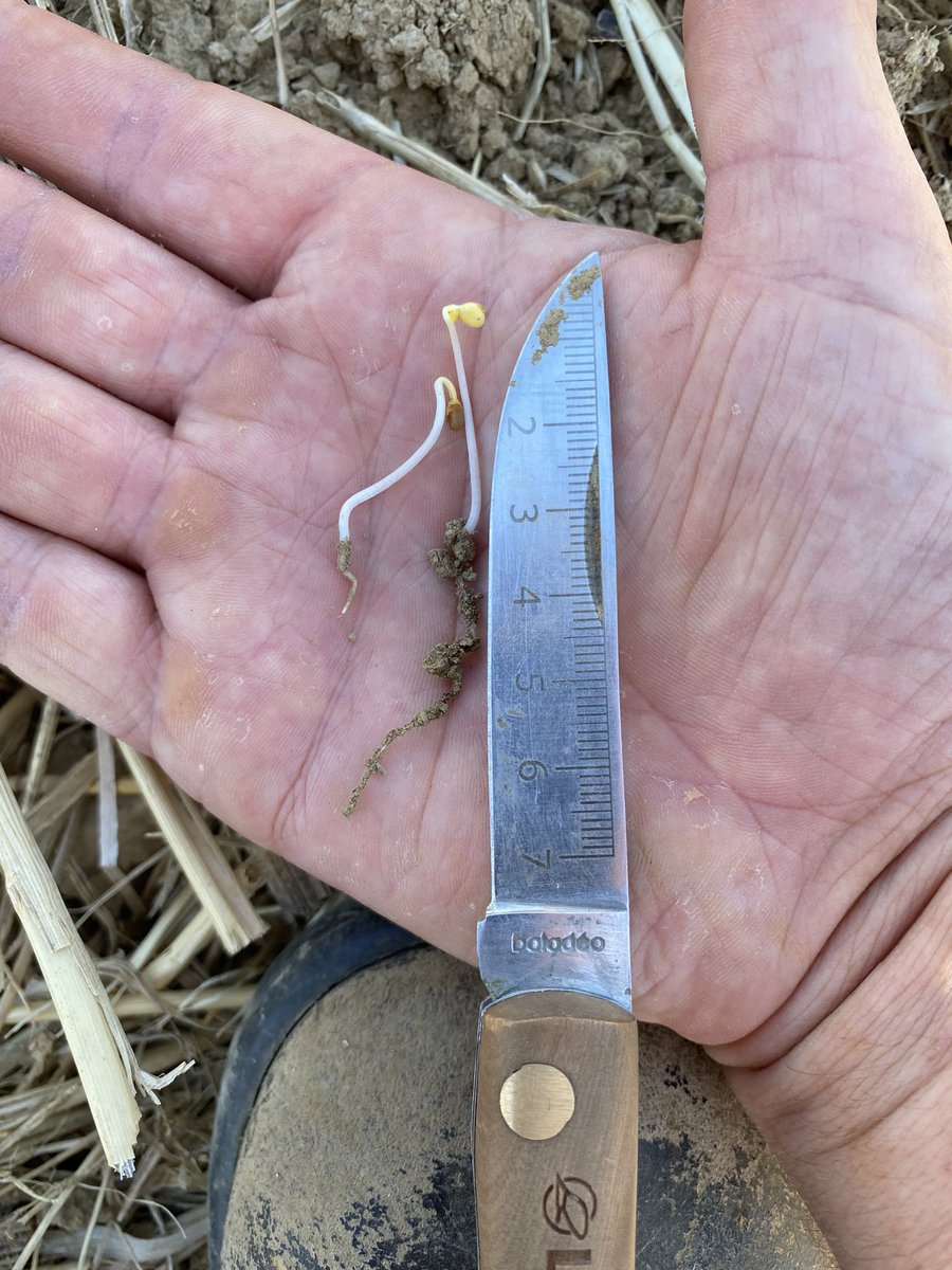 Baptiste Duhamel tweet media