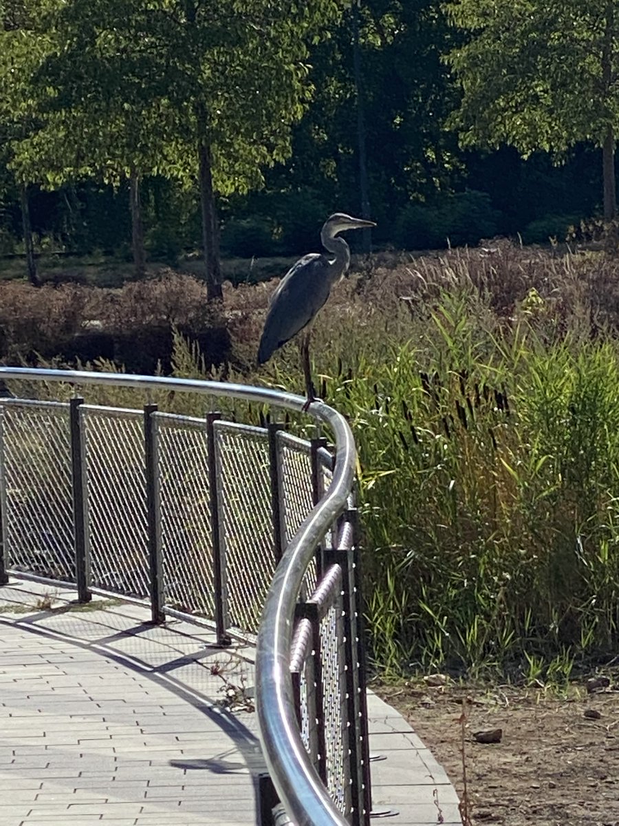 Juergen Freundel tweet media