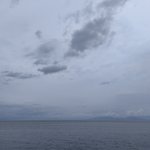 ツイートに含まれる画像