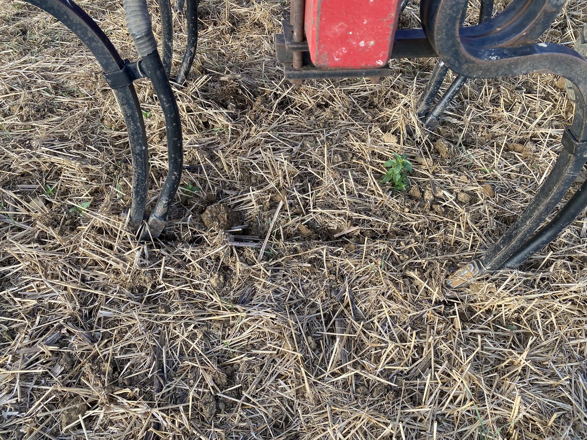 Baptiste Duhamel (@duhamel_b) on Twitter photo 