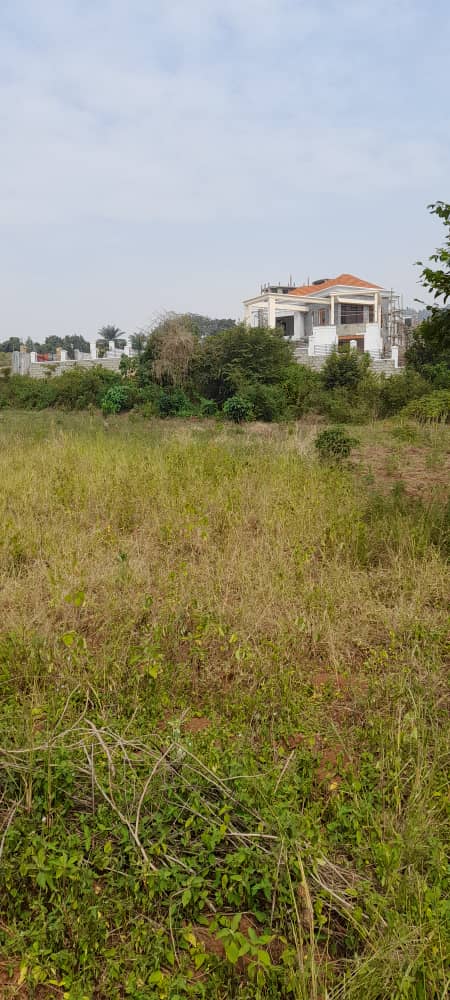 shukranproperty's tweet photo. land is for sale located at nganjo on entebbe road distance from the main road just 2km on lutembe road, it has a view lake view , sized: #1ACRE private mailo asking price #470m ugx negotiable, good for Apartments, hotels, condominium, county home 🏠🏡..etc . https://t.co/Kx9W59QYgN