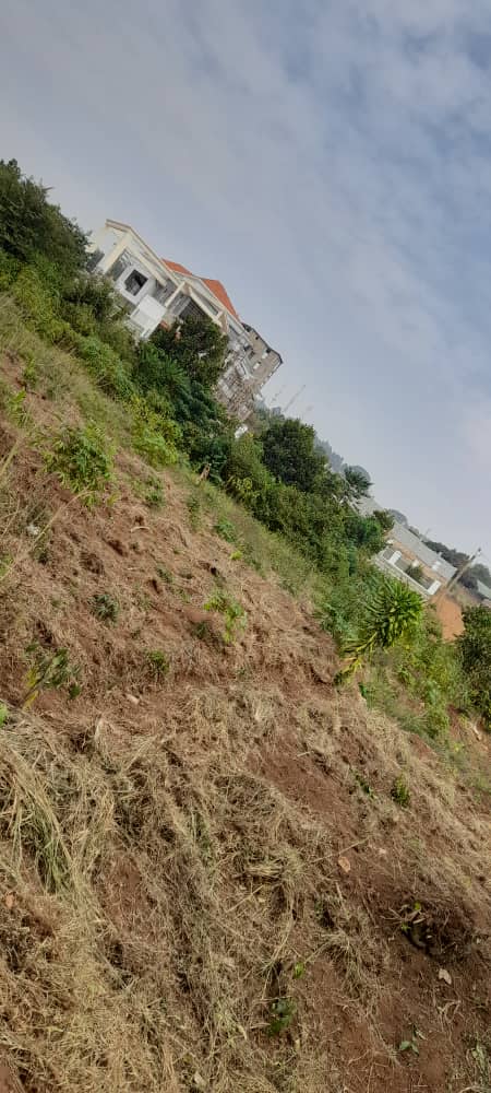 shukranproperty's tweet photo. land is for sale located at nganjo on entebbe road distance from the main road just 2km on lutembe road, it has a view lake view , sized: #1ACRE private mailo asking price #470m ugx negotiable, good for Apartments, hotels, condominium, county home 🏠🏡..etc . https://t.co/Kx9W59QYgN