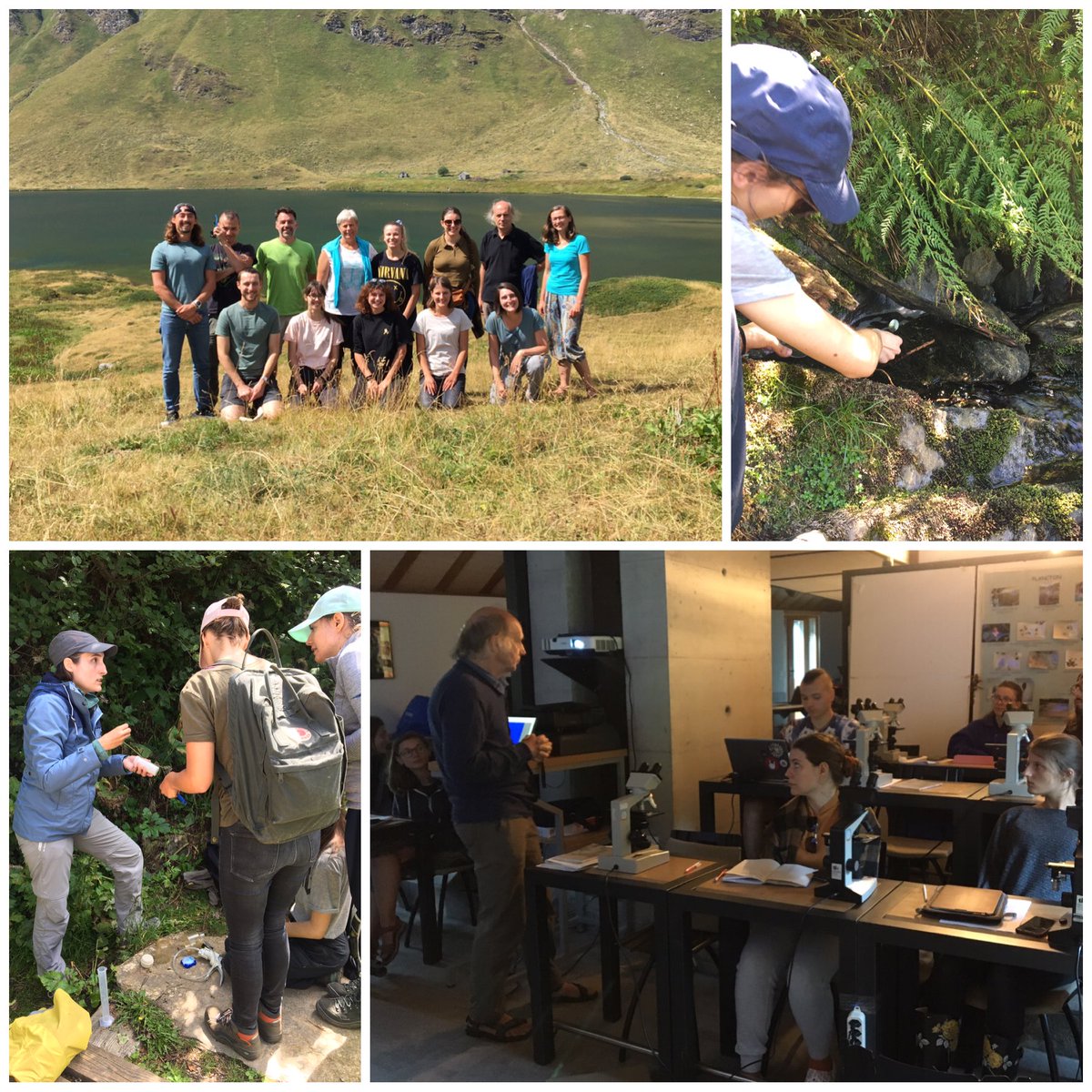 andibruder's tweet photo. The 4th edition of our field course on #ecology and #biodiversity of #aquatichyphomycetes and #diatoms in #freshwater of #ValPiora 🔬🤓
Thanks to all participants and teachers👏 (@IsabelRF84, Aldo Marchetto, Monica Tolotti, @RebeccaOester)
@UZH_Science @sciences_UNIGE @supsi_ch https://t.co/2eA7kreMac
