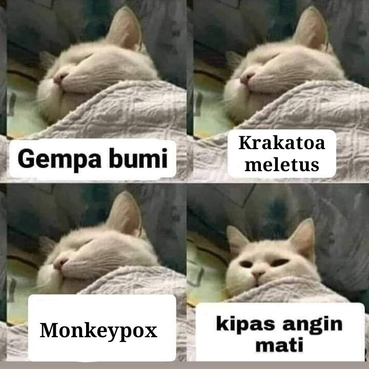 akun500juta's tweet photo. Kalo udah kipas angin aku siap perang!

a thread https://t.co/1Bpd3rPkAr