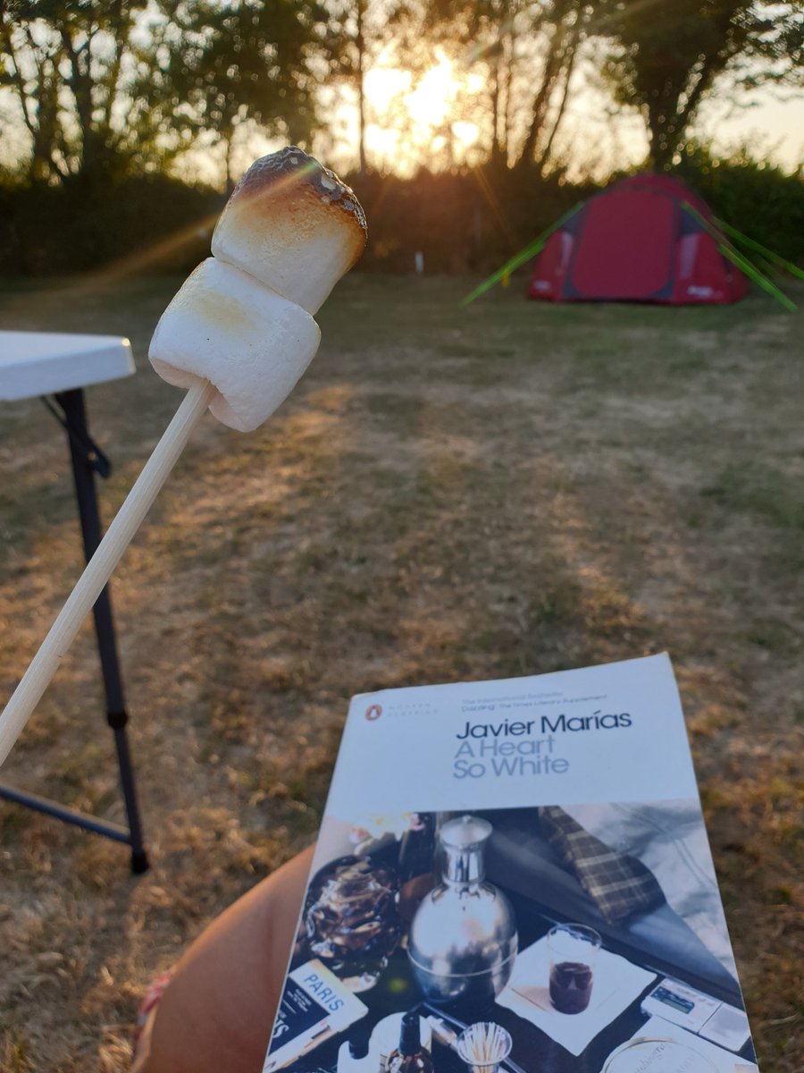 CuratorWithout's tweet photo. Camping in a heatwave has its benefits...
#CampfireReading #Sunset #WhatImReading #ToastedMarshmallows #FindTheMagic https://t.co/toVCModYKQ