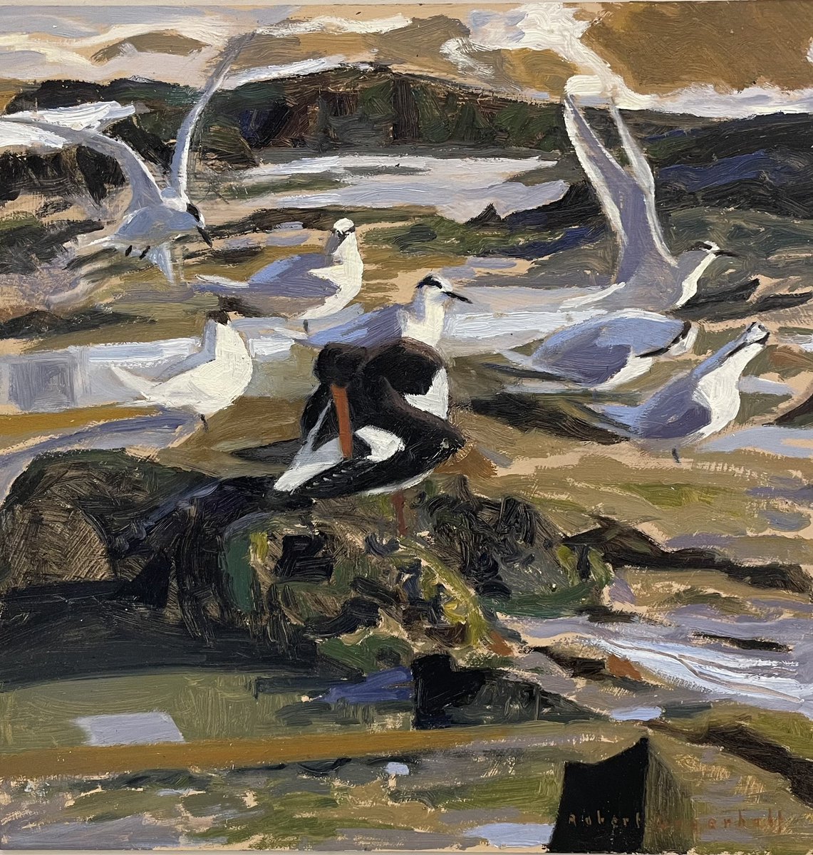 ryeartists's tweet photo. Robert Greenhalf - Sandwich Terns - another superb study in oils- in our lower gallery today and every day until 28th August #ryesocietyofartists #ryeartists #robertgreenhalf #sandwichterns #rspb_love_nature https://t.co/slFgwarHur