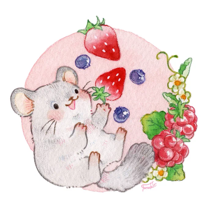 フルーツ大好きチンチラちゃん 