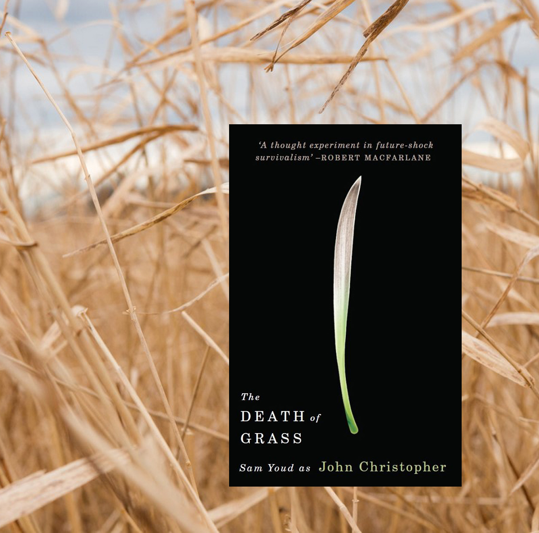 TheSYLEPress's tweet photo. Need I say more 😎?

#DeathofGrass #JohnChristopher #drought #heatwave #deadgrass #clifi #climatechange https://t.co/cKq56oUaxn