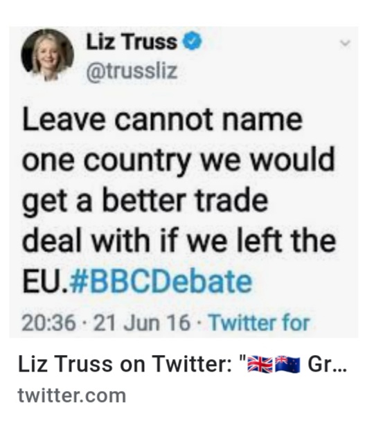 VerityKalcev's tweet photo. @MarinaPurkiss Supporting #Remain wasn't a 'teenage mistake' 🙄 
So what made you switch to #Brexit, #LizTruss? 
Good career move?
Because it's not about what's best for your daughters.
#ToryLeadershipFarce https://t.co/8wumwMN9sh