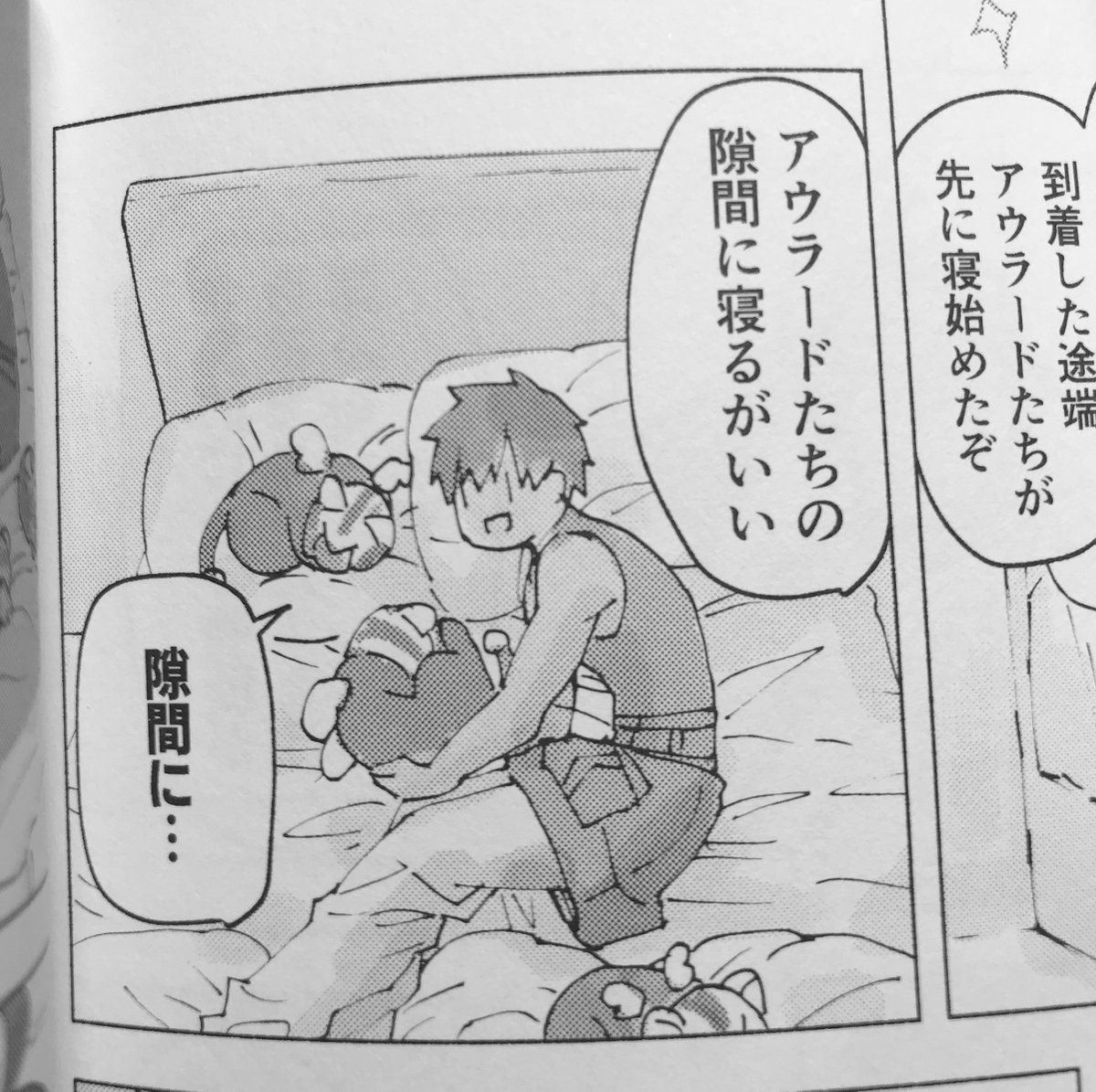 2年ぶりに本を作ったので、前回の本はどんなだったかなと引っ張り出し。ぺんてしれいあさんのこのお顔自分にしてはかわいく描けてますね!となったり、あうらーどのこと完全に猫だと思ってるなというおまけ漫画だったり。なつかしい。 