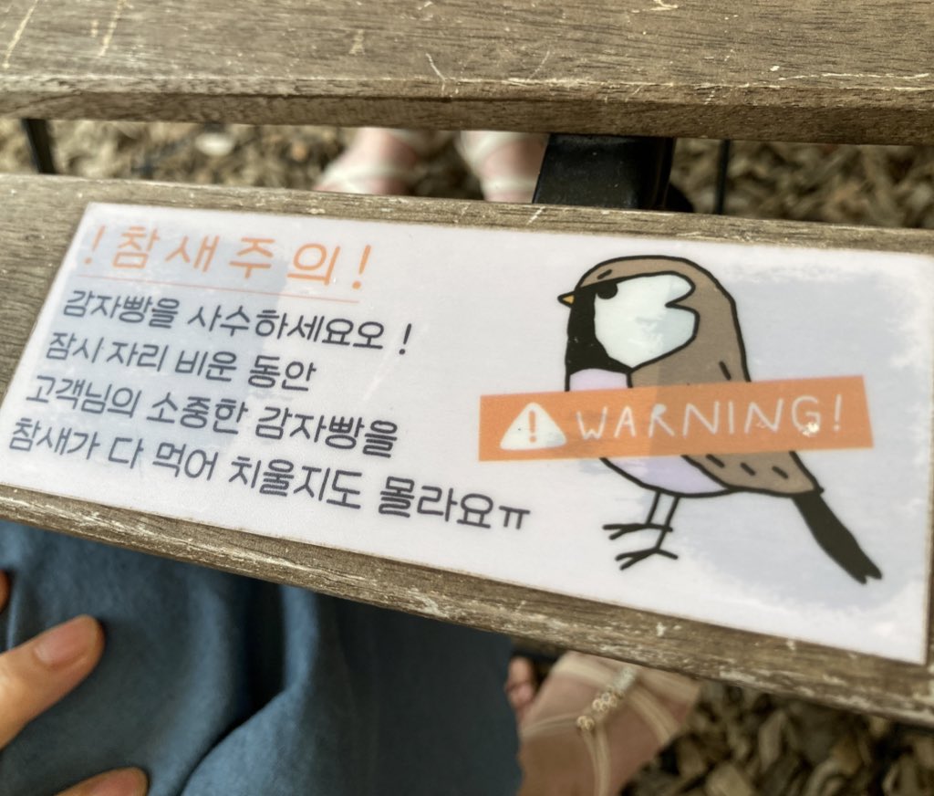 LelRang_'s tweet photo. 감자빵의 고향 여행중 마주친 존나살찐참새 https://t.co/vWWRMcBJyp