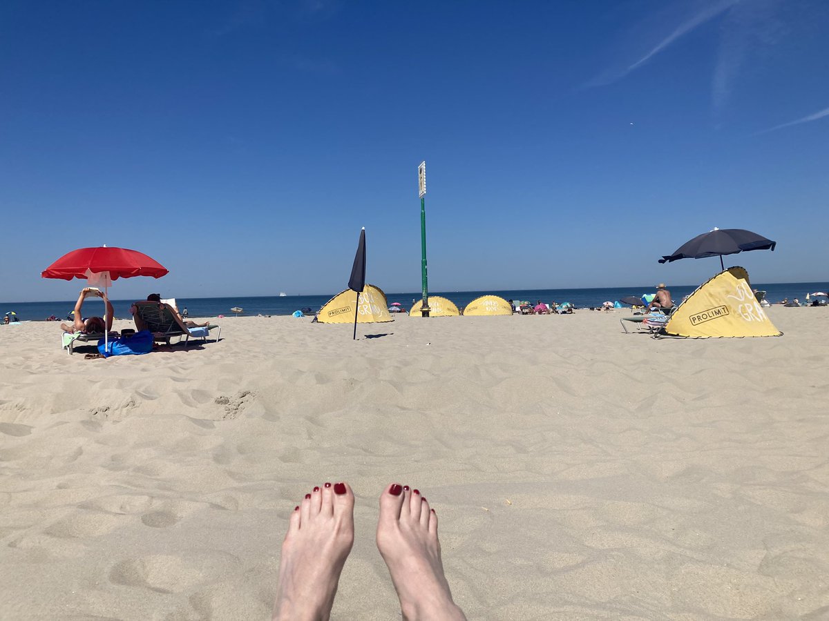 Intensieve vlindermonitoring dag op #Kijkduin. Zo’n 100 #atalanta’s per uur, landinwaarts trekkend, in mijn zichtveld van 100-200 m breed <a href="/vlinderNL/">De Vlinderstichting</a>