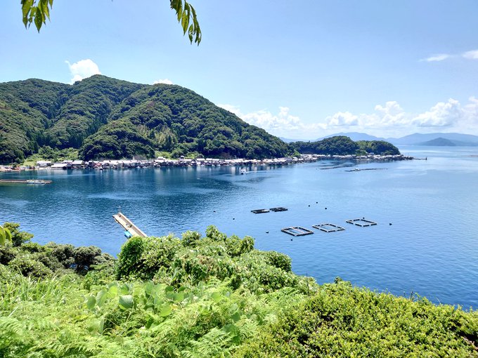 夏の伊根に行ってきました🐟 
