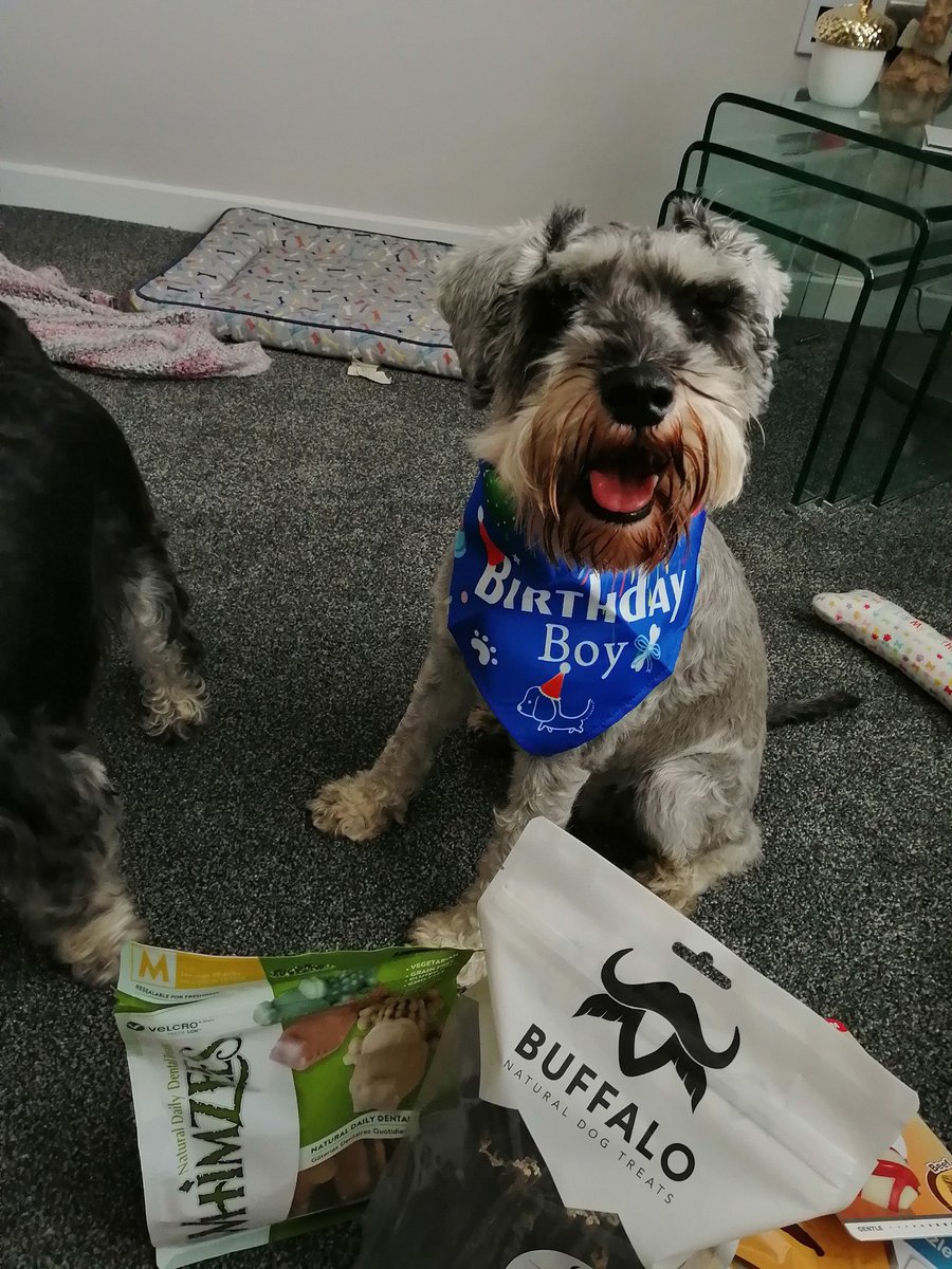 Morning pals,  its my 3rd birthday today. 🎉🎊🎈🎁🎂