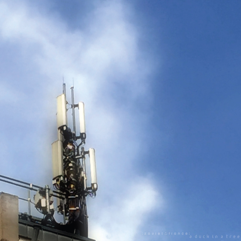 Starting in five minutes on <a href="/cjmpfm/">CJMP 90.1FM</a> 90.1 FM in Powell River, BC and online: the latest edition of A Duck in a Tree, the :zoviet*france: radio show | cjmp.ca/listen-live