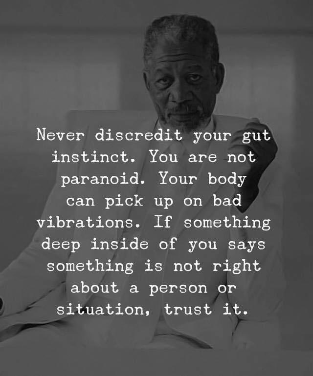 TurnFL_Blue's tweet photo. Good Morning Friends!!! https://t.co/IBQC8exzX4