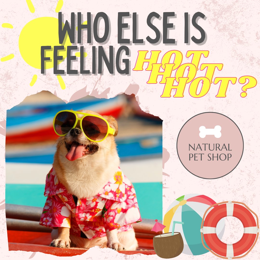 NaturalPet_Shop's tweet photo. Don't forget your pooch is feeling it too!๐ถโ
Here are some useful tips on how to keep your dog cool in the heat: โ
https://t.co/FesI3yqh7Qโ
#naturalpetshop #bluecross #tips #heatwave #heat #sun #hot #summertime #dogsuk #dogs #pets #petsuk #protect #dog #puppy #dogslife https://t.co/92EyEqOwCk