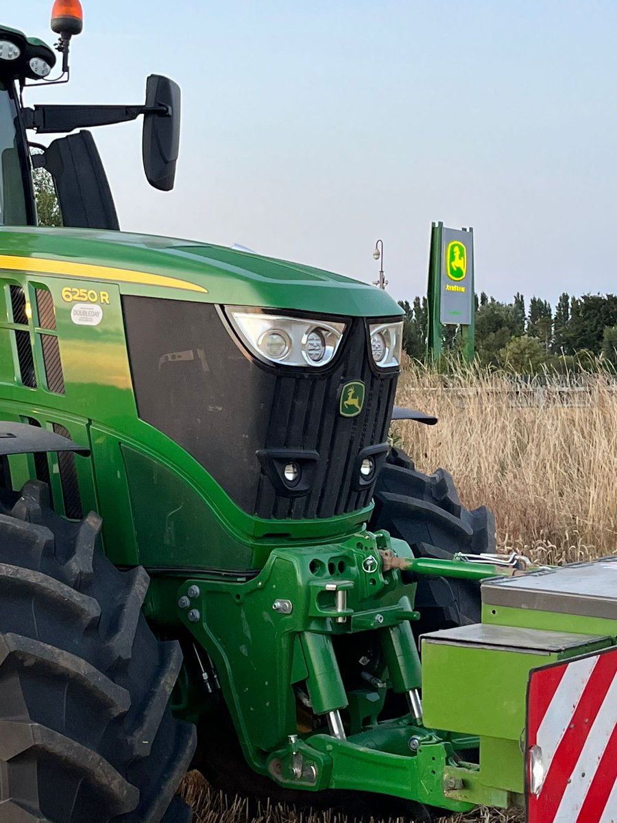 Doubleday Group tweet media