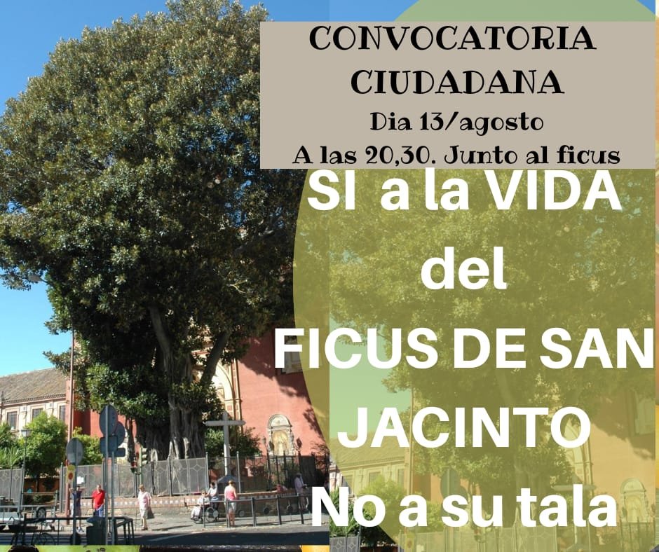 ctyogayvida's tweet photo. @TranviaVerde https://t.co/au320PI8YX
